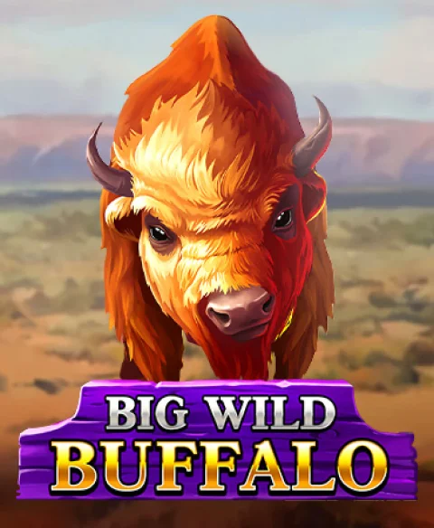 Play Big Wild Buffalo at Winny Casino